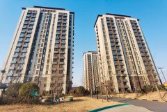 项目扶植相关费用次要由社区筹集