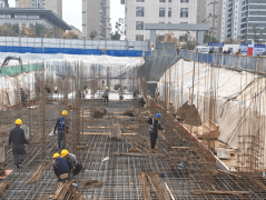 出项目扶植“加快度”